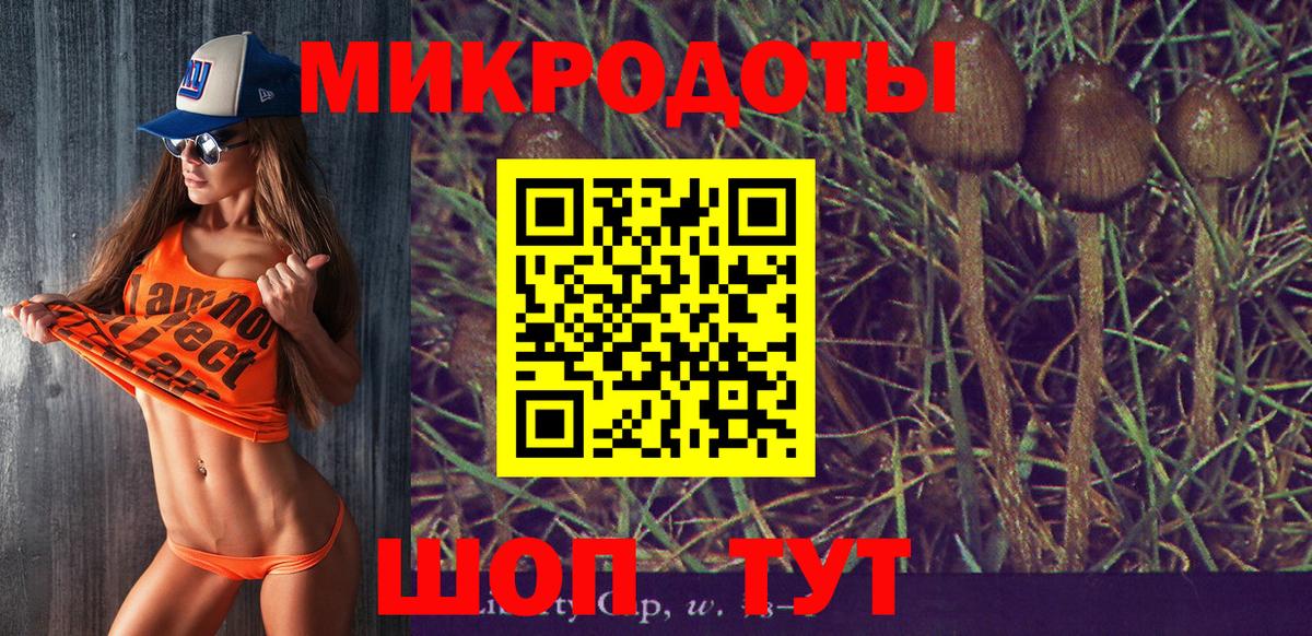 Кулебаки  Псилоцибиновые грибы Magic Shrooms  Вход с VPN 